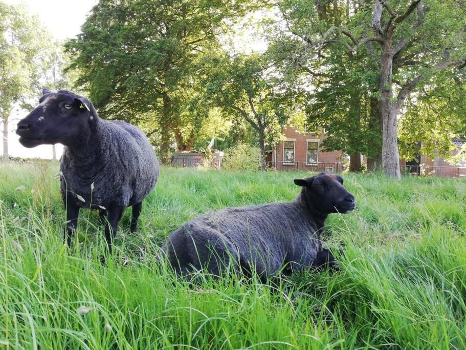 'T Pekelhuis - Vakantiehuisje Op Boerderij Huize Blokland Hem エクステリア 写真